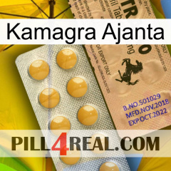 Kamagra Ajanta 41